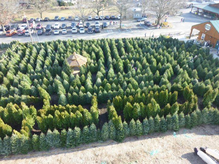 ILoveThatPlace's tweet photo. Your #googlemaps app won't help you! #TreeMaze #Linvilla http://t.co/noCOwWBhQt