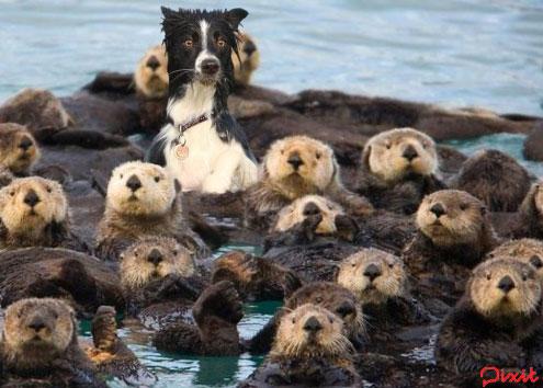 pixit's tweet photo. Baxter just figured out this isn't the dog park http://t.co/485wyF4odk
