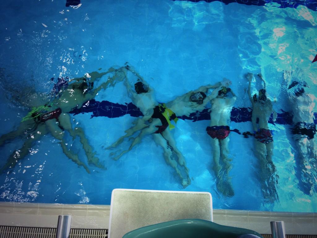 DonBurtonH2O's tweet photo. 23 days till ontario university champs start #H2OGryphs http://t.co/pKPHSX29pz