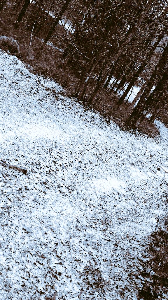 OKaake's tweet image. It's snowing❄️