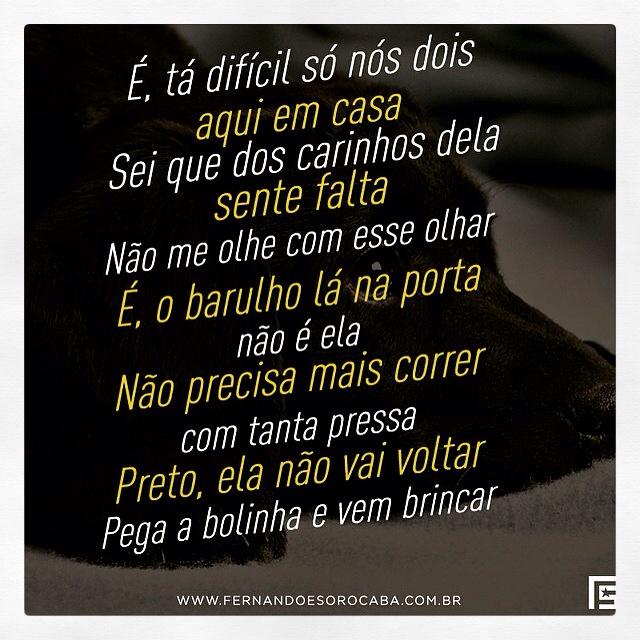 MomentoSertao's tweet photo. @duplaFeS #Preto http://t.co/f6wQjT93gp