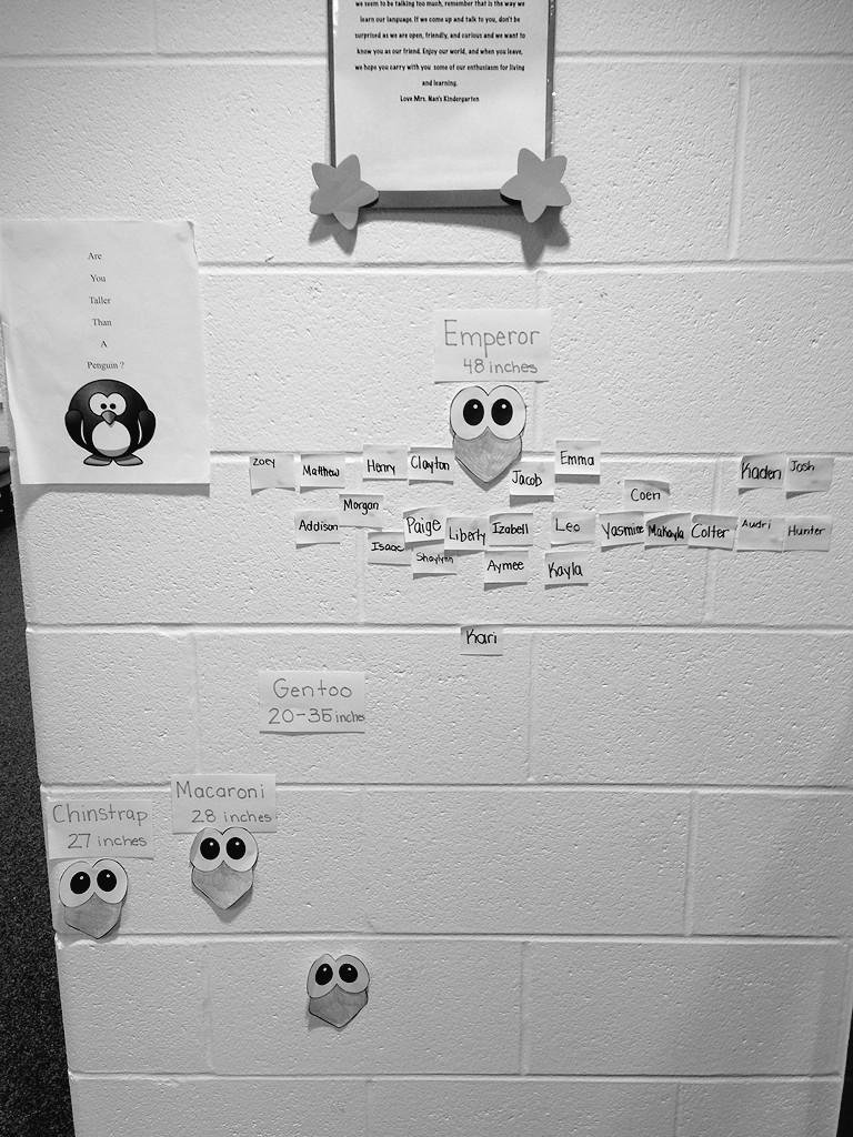 JeffersonPCSC's tweet photo. How do we measure up to an Emperor Penguin? #JeffersonPCSC #pcscin #genuinelearning http://t.co/47K7it0d3I