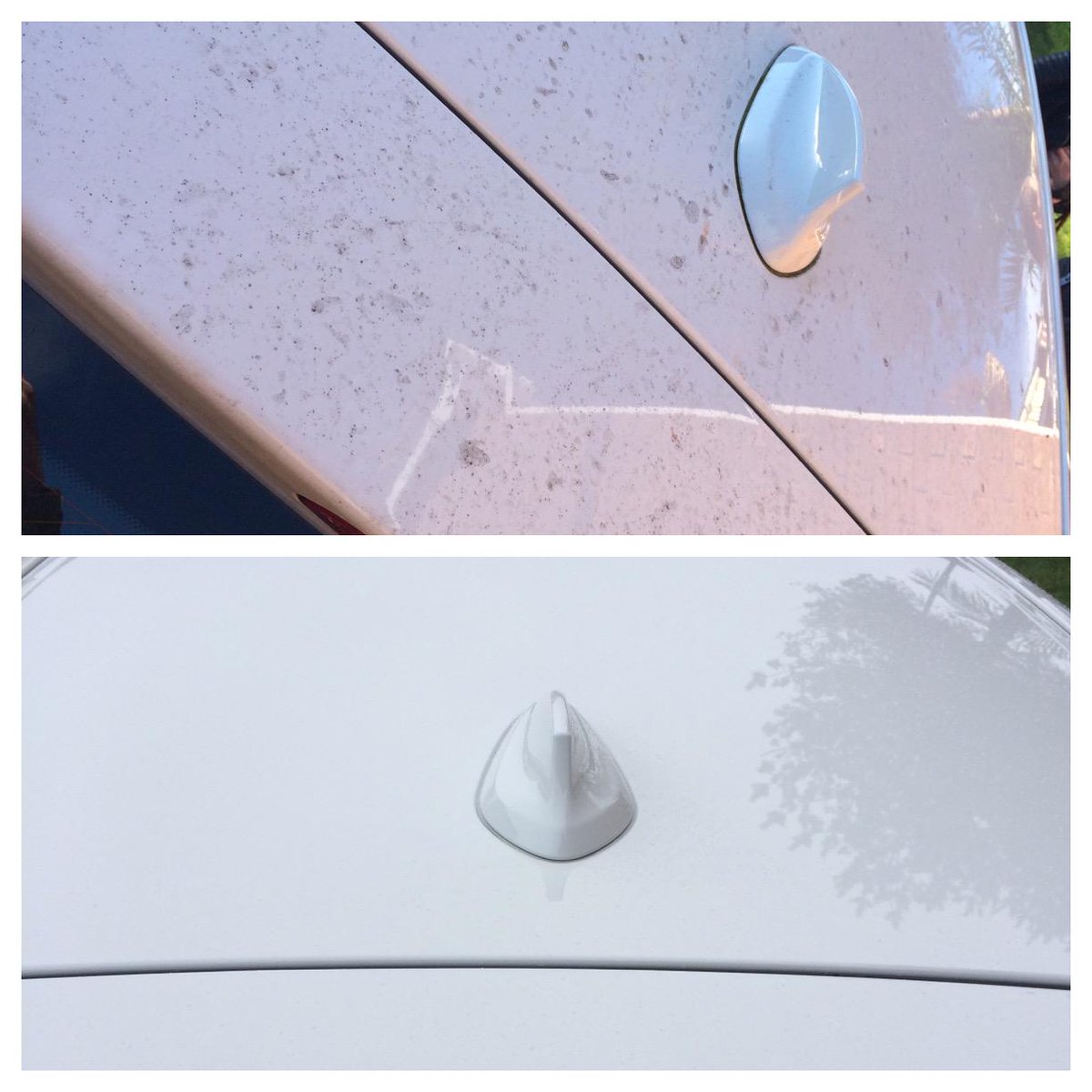 PlatDetailSW's tweet image. The second BMW was in particularly bad shape on the exterior, here are a couple of comparison shots...