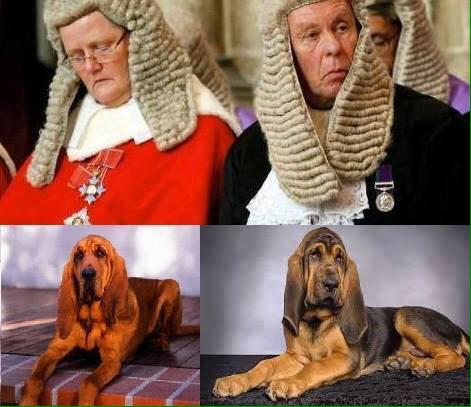 #sasirticigercekler #FoxTvSeyretmiyorum