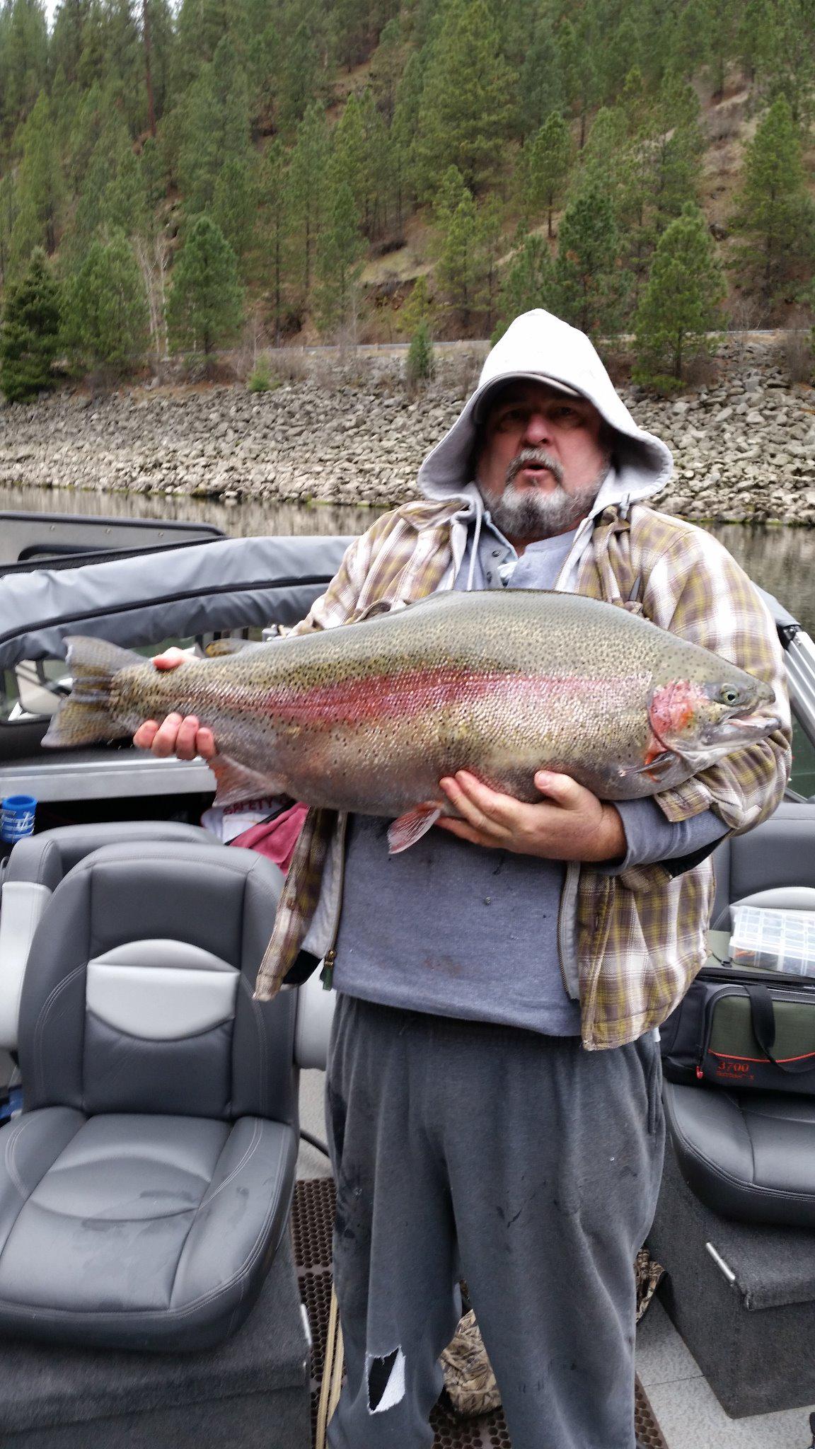 Record trout caught 28 lbs Idaho