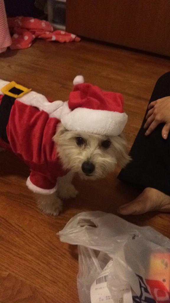 thugnasthy's tweet photo. After Christmas shopping. Lol #hehatesus #spoiled http://t.co/tRvyYMtfkd