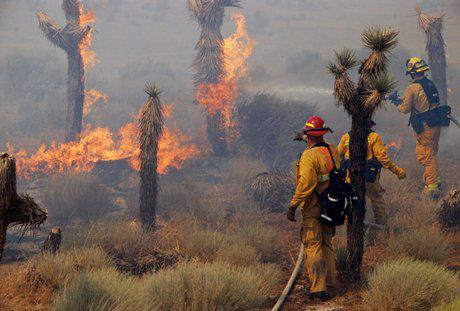 UnofficialSK's tweet photo. Voted FOR Protecting Vol Firefighters&amp;Emergency Responders Act - HR33
http://t.co/seKl8CNpfb
#CA25 #MyRepSteveKnight http://t.co/lzgTAuvUaS