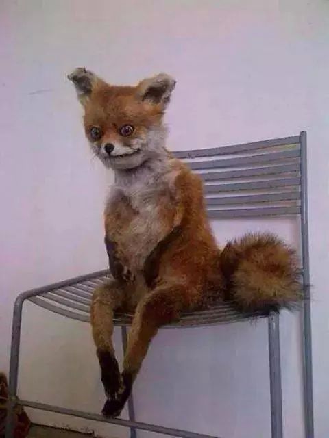 Tipico_Wattpad's tweet photo. Cuando llevabas leyendo toda la noche y te tocó madrugar. http://t.co/nULTeQRY6s