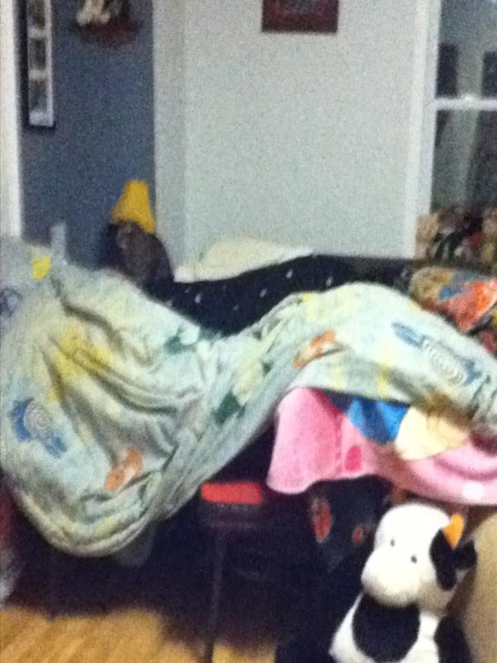 RealConnorBoyle's tweet image. Blanket fort💙💤💻