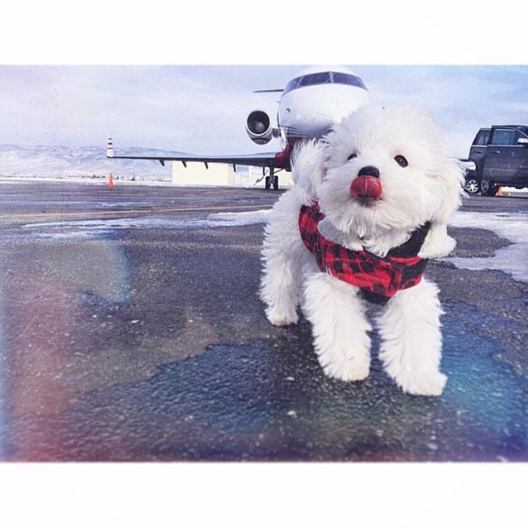 buddylovato's tweet photo. ❤️❄️✈️ http://t.co/tFemNKO0Hd
