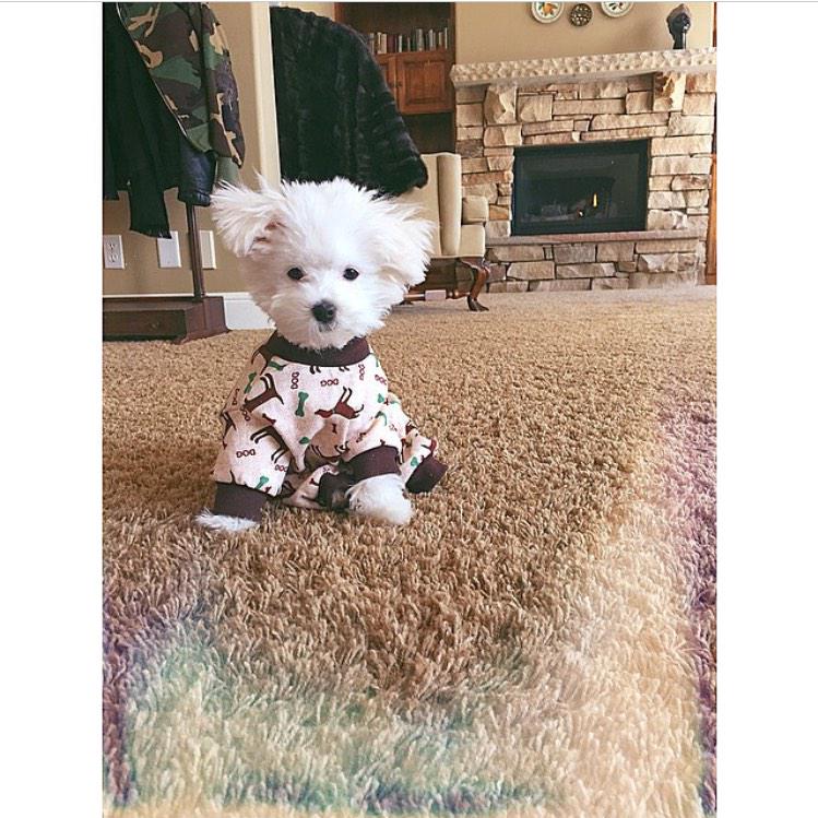 buddylovato's tweet photo. I woke up like dis http://t.co/TUDNx6AP2r
