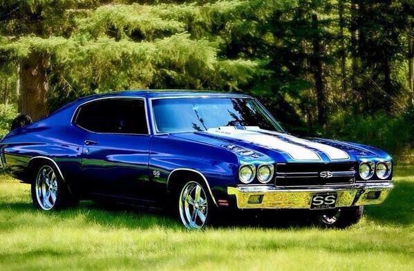 Muscle Cars tweet media