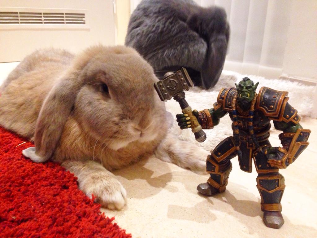 Embedded image permalink