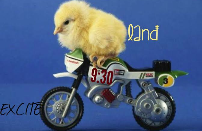 iOWest's tweet photo. Two teams @BirdlandImprov and @improvbike that you must see in person to realize its meant to be.
9:30 #improv http://t.co/bGtxU0dJGF