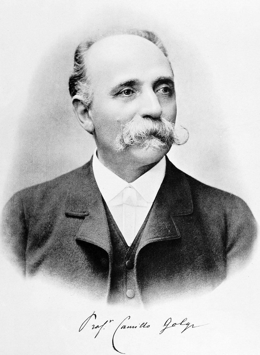 GolgiDigger's tweet photo. shoutout to mah boiii Camillo Golgi for discovering meee #NiceMustauche #MustacheGameStrong #cellection15b http://t.co/RIAnSruwHY