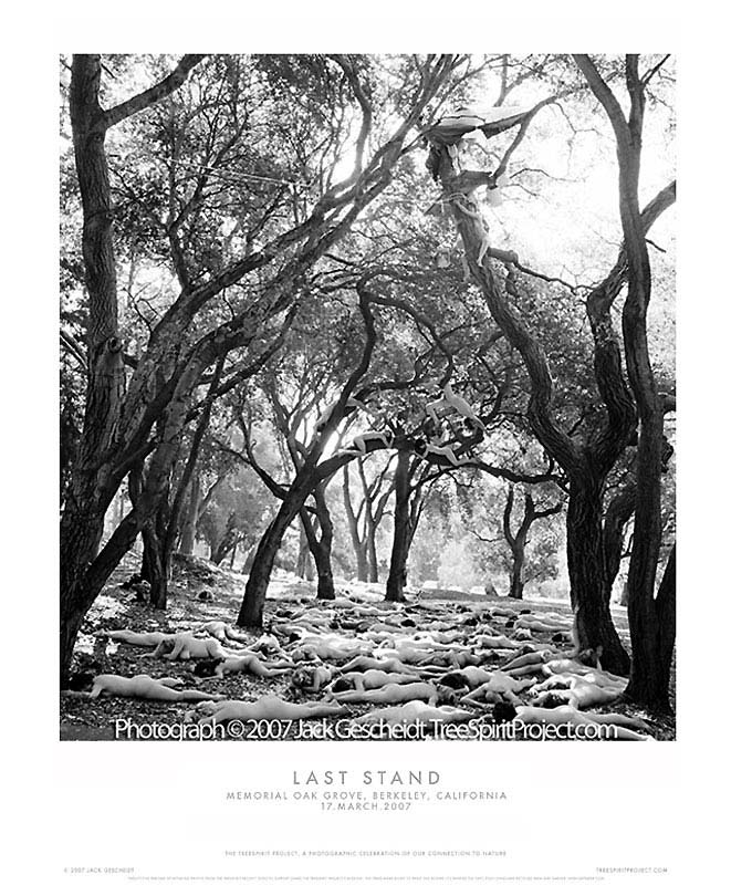 jgescheidt's tweet photo. @JamiaStarheart ex. of a #TreeSpiritProject photograph used to save Berkeley, CA trees from a developer's chainsaws: http://t.co/R3QvNnSwNA