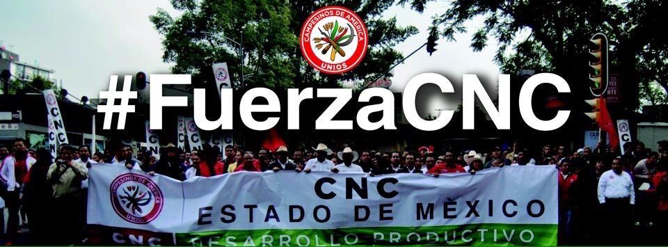 dianithaguzman's tweet photo. Transformando a México #FuerzaCNC @AlanGutiDelRio @VJA_Edomex @AlanGutiDelRio http://t.co/DZyi6ygwB8