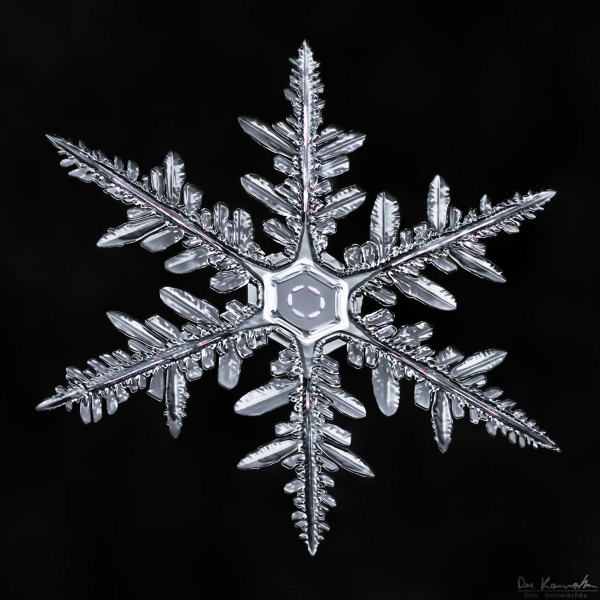 donkom's tweet photo. #snowflakeaday No. 44 - this is my idea of a snowflake born from childhood imagination. Wouldn't you agree? http://t.co/MI3CiAvuIa