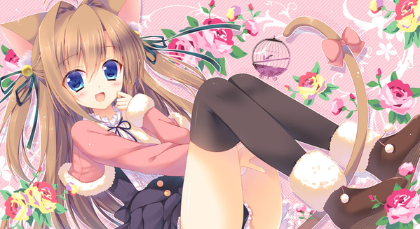 isRQN's tweet photo. @req0 お気に入り登録しました!①
【WI-FIルーターキャンペーン】
1/18(日)まで#新規 #HWD15
年末年新!ネットを使いすぎた方に必見!
制限なし!#WIFIルーター
月額3,991円使い放題♪
当店限定1... http://t.co/EcHAKQ0G7b