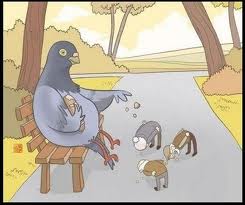 inotasdeamor's tweet photo. Pajaros en un mundo paralelo. http://t.co/YLxrLXGcSJ