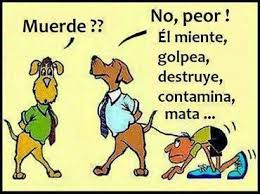 inotasdeamor's tweet photo. Perros en un mundo paralelo. http://t.co/Y8indO9LtK