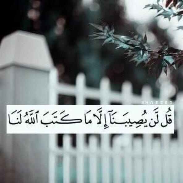 عبدالرحمن الزهراني tweet media