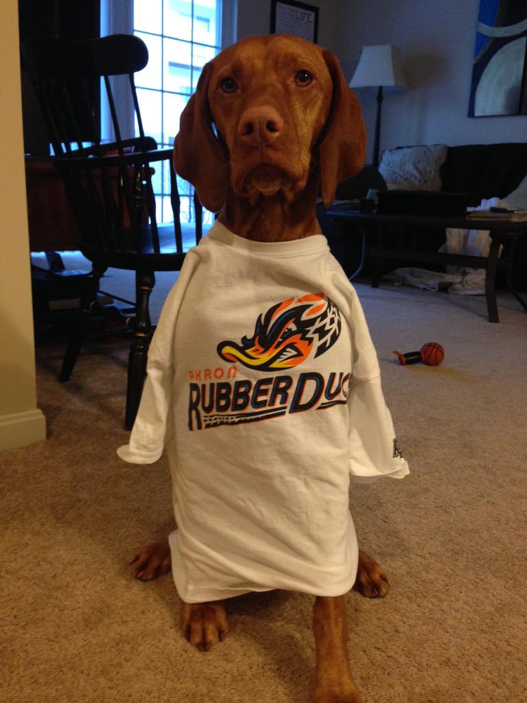 LyndseyMaurer's tweet photo. @ALeebs18 She didn't want to leave out her second favorite @AkronRubberDucks! http://t.co/SJgvNdvTpS