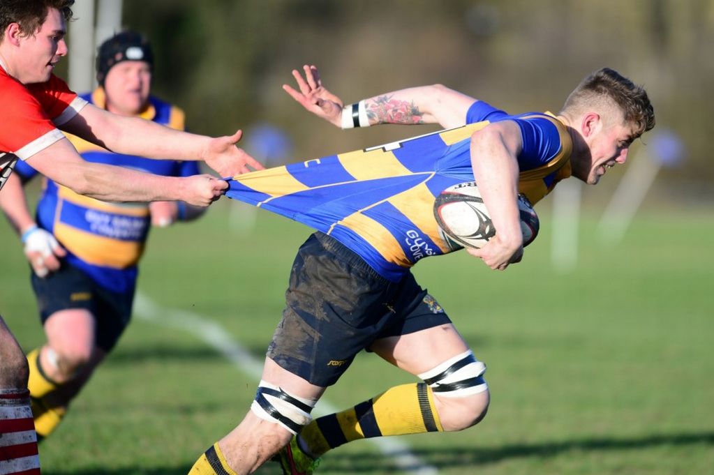 Wasps Rugby Live tweet media