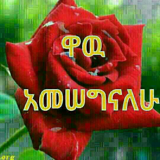 nff74685's tweet photo. http://t.co/260jmLiCg0