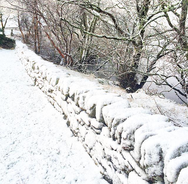 LinksRobbie's tweet image. I'm freezing 😁❄️⛄️