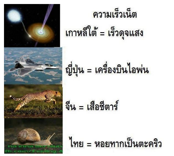 daradaily's tweet photo. ความเร็วเน็ตของแต่ล่ะประเทศ #กูจะไม่ยอมเห็นรูปนี้คนเดียว http://t.co/qXyWWzJps6
