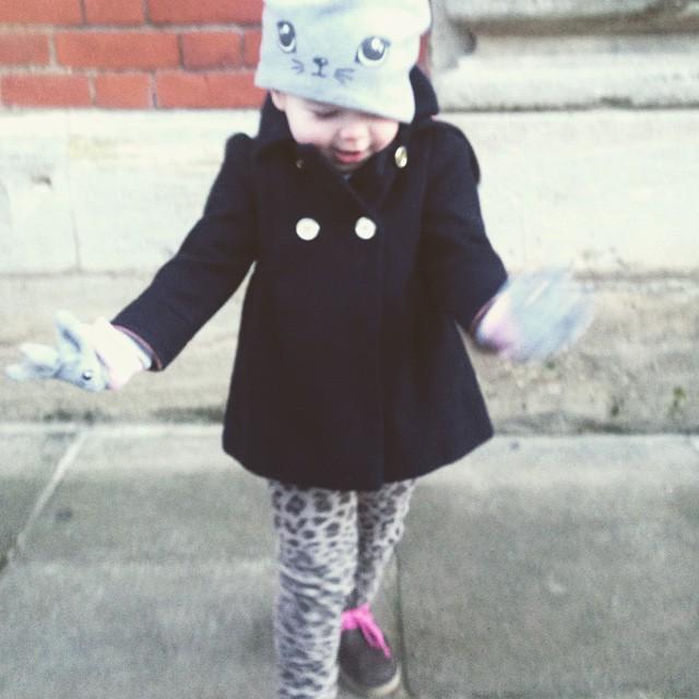 DBHFgifts's tweet photo. It's a strong look from Mabel this morning #leopardprint #catgloves #pooch http://t.co/5qfxN3zVZv http://t.co/DE6CE23NxB