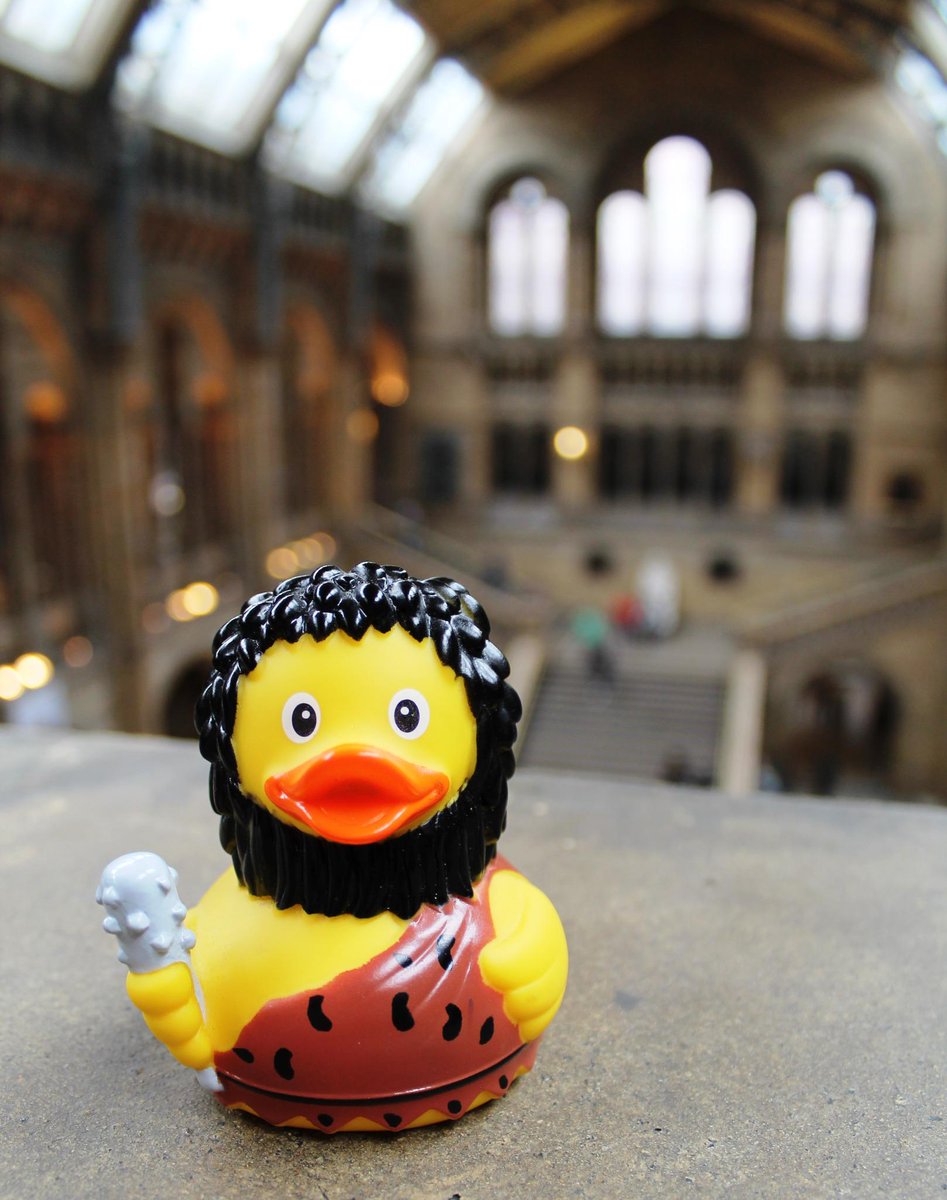 egyptian rubber duck