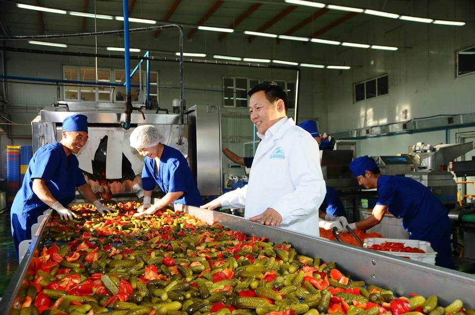 Эх орны хөрсөнд сэтгэл шингээн ургуулсан эрүүл ногоогоор хэрэгцээгээ бүрэн хангахын төлөө МОНГОЛОО ДЭМЖЬЕ!