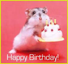 moonvic76's tweet photo. Soppyness alert... Happy Birthday to my love @garyrobud xx best fella anyone could wish for and your mine xx I♡you! http://t.co/En29lS0TpF