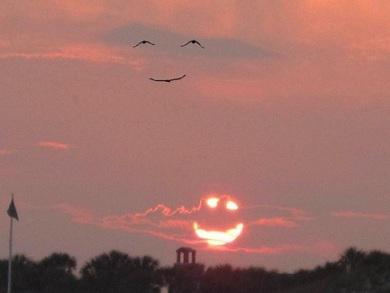 奇跡の瞬間 絶景 ３羽の鳥が笑顔を描くことはまれにあるが夕焼けと共に笑顔が描かれた奇跡の瞬間 Http T Co Gqmtx4q87v