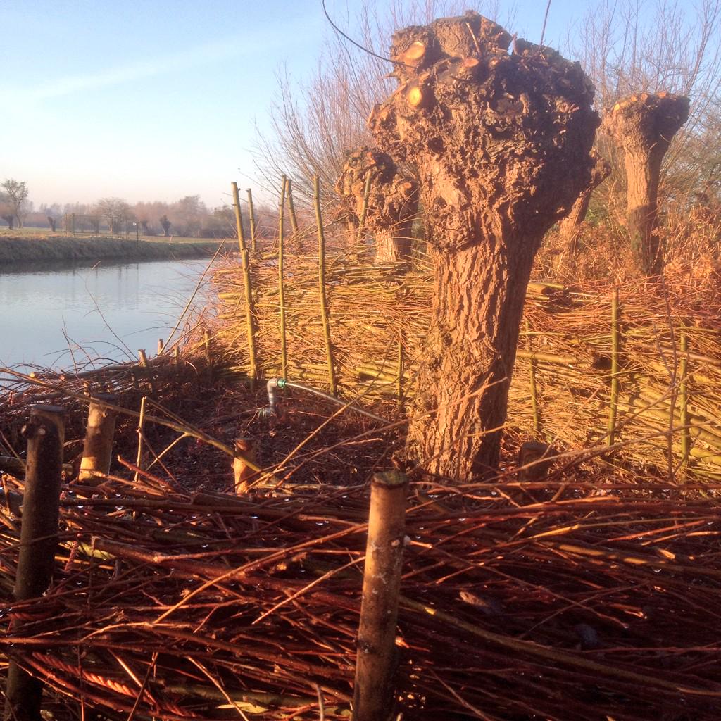 Duurzamer kun je bijna niet bezig zijn...  onze tuindienst verwerkt de twijgen rechtstreeks van de boom ter plekke ..