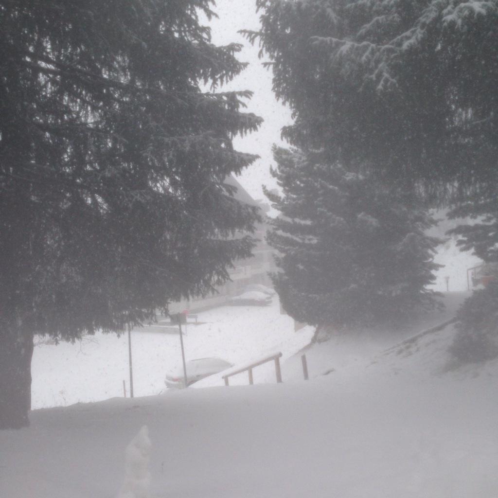 ChaletDatcha's tweet photo. Lots more snow today! http://t.co/CNgeV4H6l6