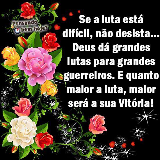 httvida tweet picture