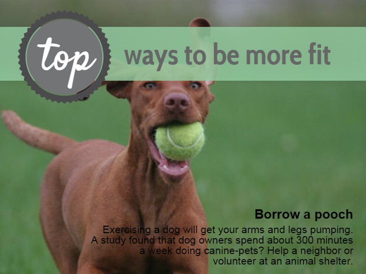 BalancePhysical's tweet image. Getting exercise with your dog is the most fun you can have getting fit!