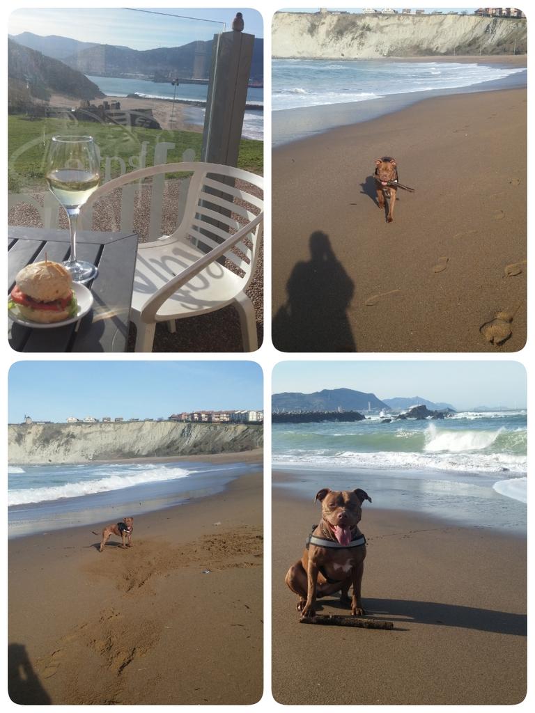 TxutxiSandraBox's tweet photo. De nuestros mejores momentos del dia!Como nos gusta! Disfrutando😎😎😎#gordi #arri #felices #solplaya http://t.co/MNMniMUzGy