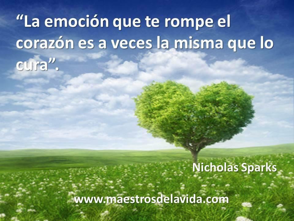 monic_dj's tweet photo. Hoy comprendo que la cura de tu interior es la aceptación plena de quien eres!! http://t.co/rgltz0hyq9