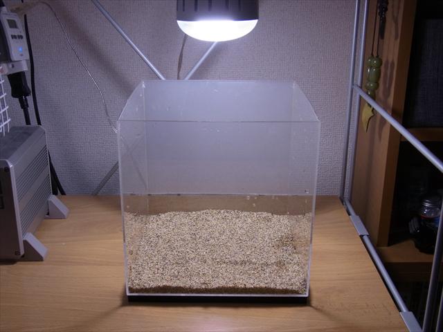 熱帯魚水槽のリセット方法 陰性水草レイアウトができるまで