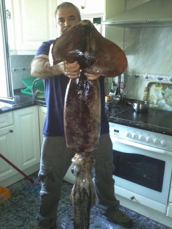 HITZAleamutriku's tweet photo. Ondarrutar batek Lekeitioko uretan arrantzatutako txipiroia http://t.co/o5LS256sIK