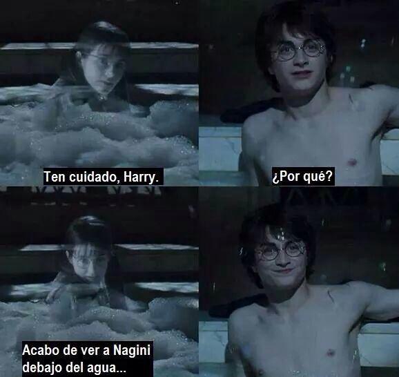 Ei_Quisquilloso's tweet image. No era Nagini...