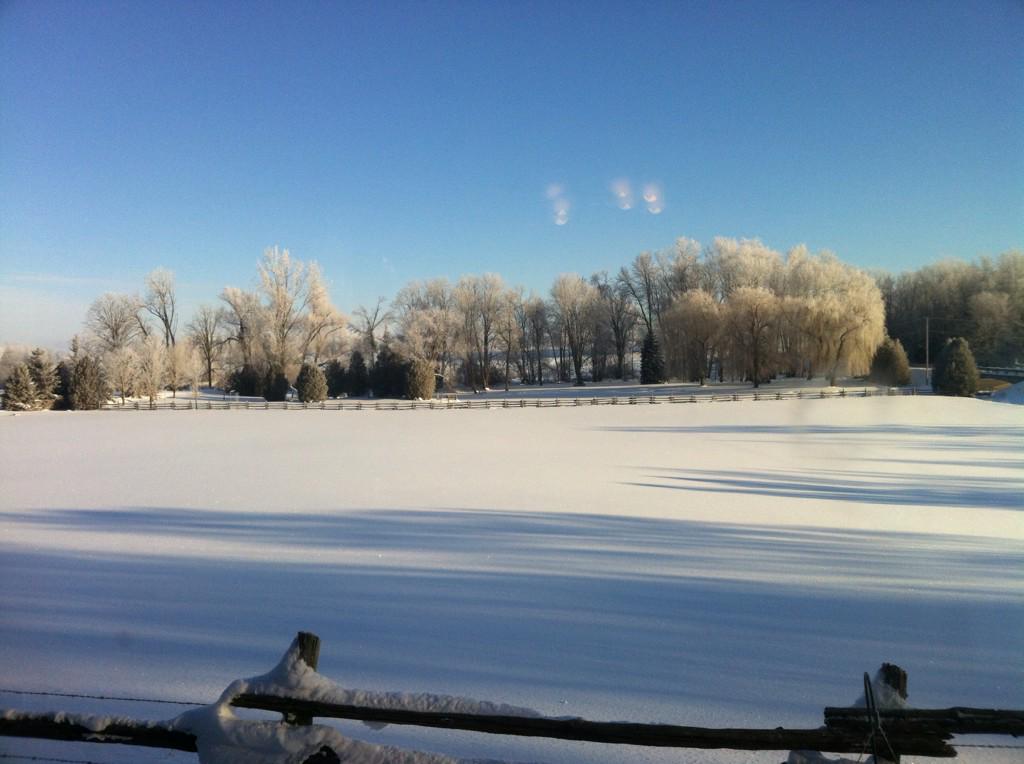 KlompenHolstein's tweet photo. Only in the country #ontag #farm365 http://t.co/vATw1vKTzB