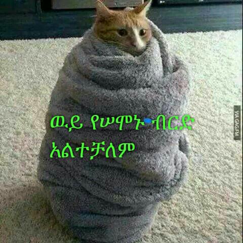 sitimariam7941's tweet photo. ---
---
Sent by WhatsApp http://t.co/XxAzau11ro