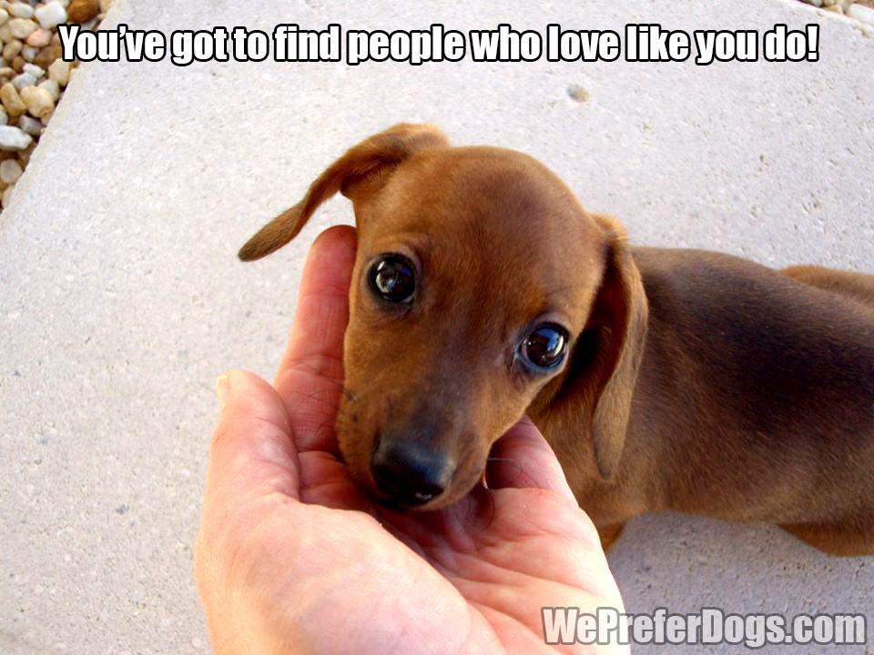 CGDesign2010's tweet image. 