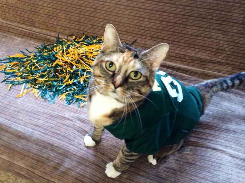 green bay packers cat jersey