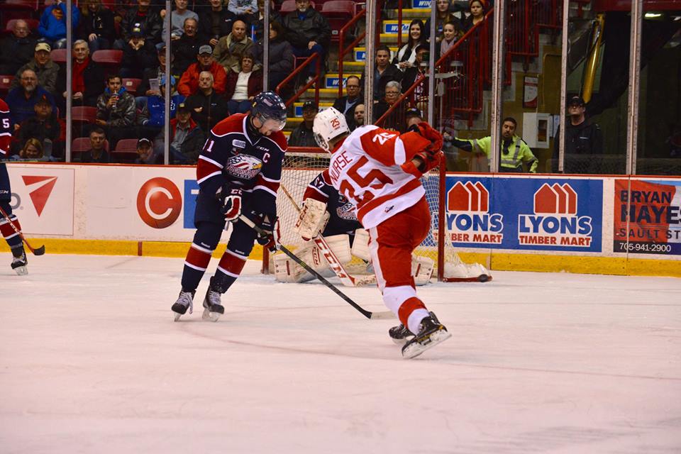 OHLHoundPower's tweet photo. It's GAME DAY! The Hounds are back in Sault Ste Marie to take on @SpiritHockey! (7:07pm, Rock 101). #SOOvsSAG http://t.co/pbwRHE3M8b